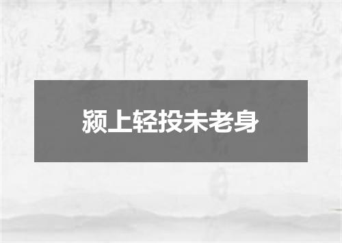 颍上轻投未老身