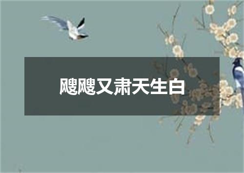 飕飕又肃天生白