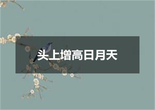 头上增高日月天