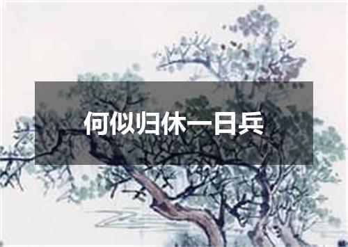 何似归休一日兵