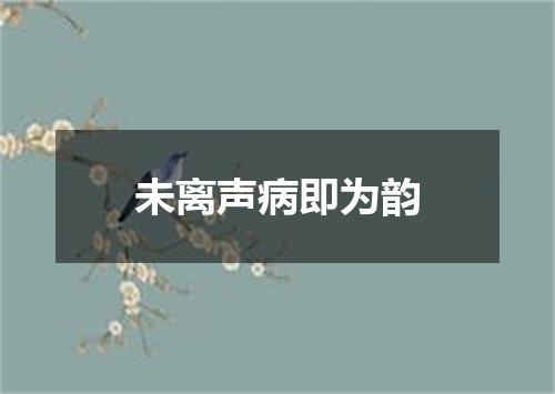 未离声病即为韵