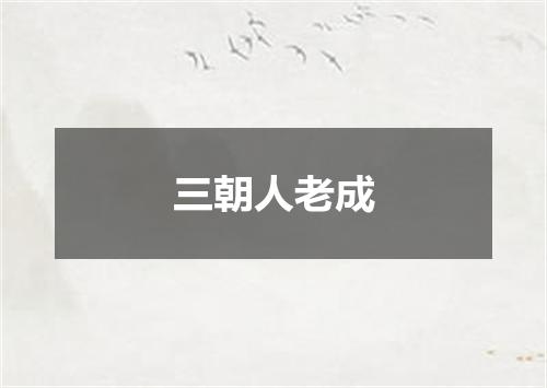 三朝人老成