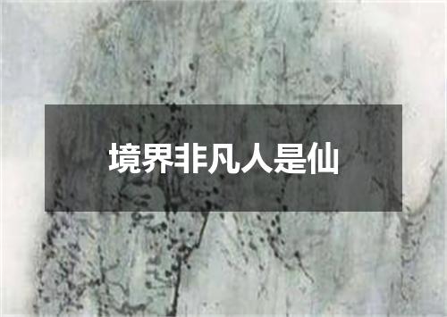 境界非凡人是仙