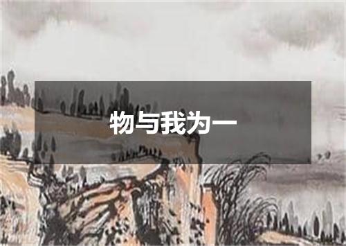 物与我为一