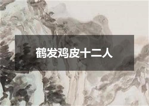 鹤发鸡皮十二人
