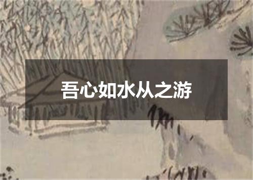 吾心如水从之游