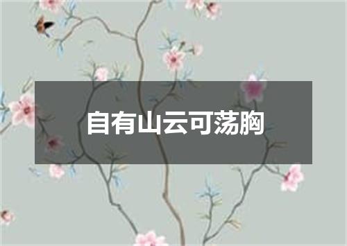 自有山云可荡胸