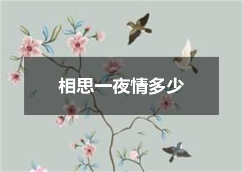 相思一夜情多少