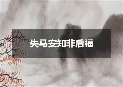 失马安知非后福