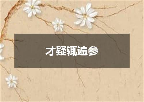 才疑辄遍参