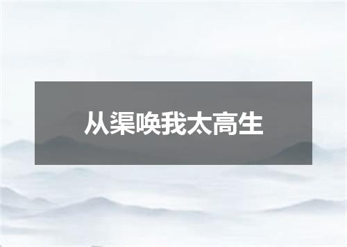 从渠唤我太高生