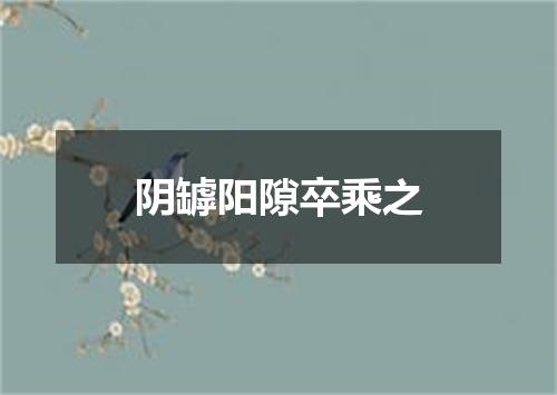 阴罅阳隙卒乘之