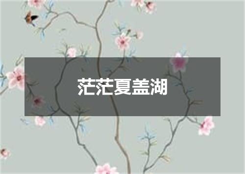 茫茫夏盖湖