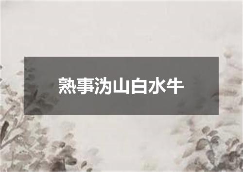 熟事沩山白水牛