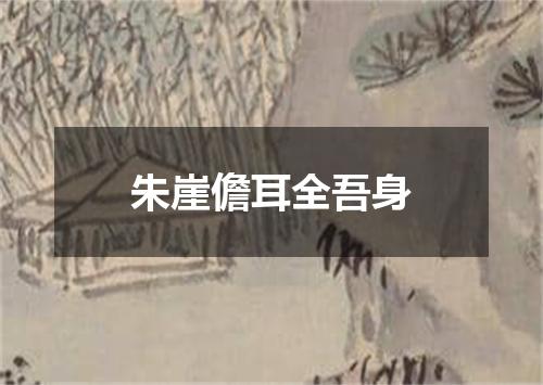 朱崖儋耳全吾身