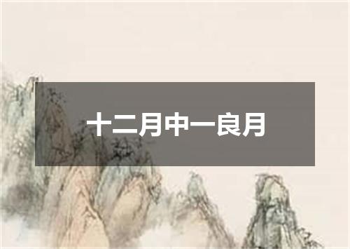 十二月中一良月