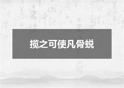 揽之可使凡骨蜕
