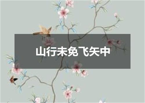 山行未免飞矢中