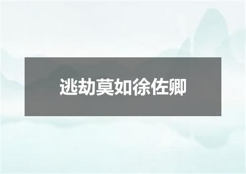 逃劫莫如徐佐卿