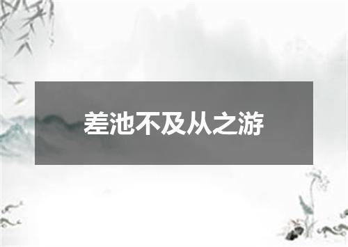 差池不及从之游