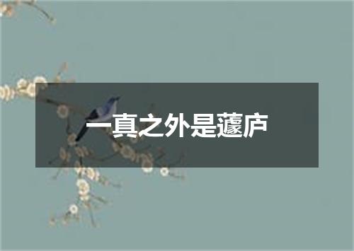 一真之外是蘧庐