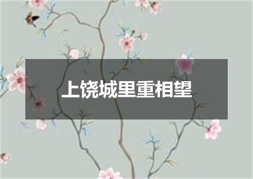 上饶城里重相望