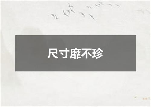 尺寸靡不珍