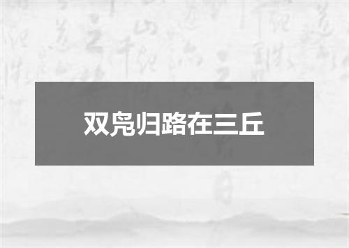 双凫归路在三丘