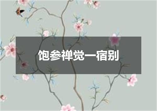 饱参禅觉一宿别