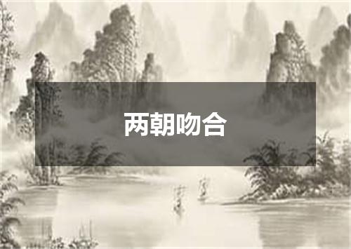两朝吻合