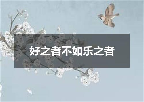 好之者不如乐之者