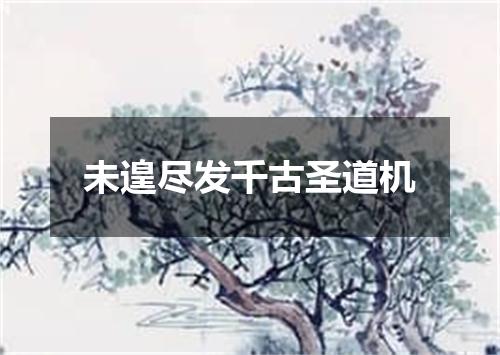 未遑尽发千古圣道机