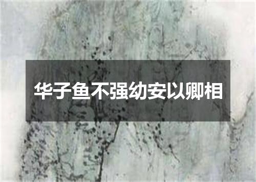 华子鱼不强幼安以卿相