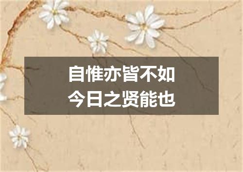 自惟亦皆不如今日之贤能也