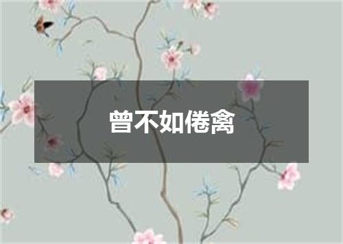 曾不如倦禽