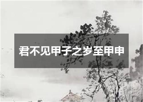 君不见甲子之岁至甲申