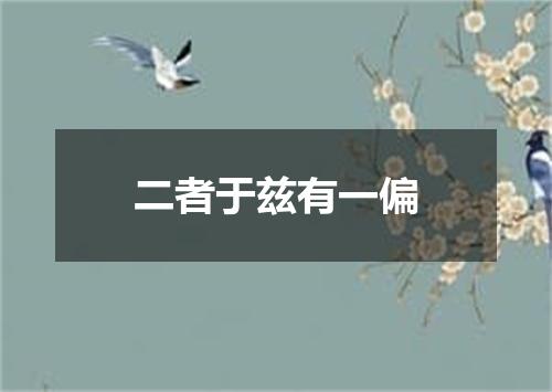 二者于兹有一偏