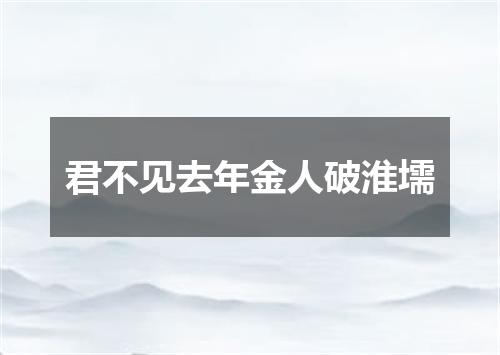 君不见去年金人破淮壖