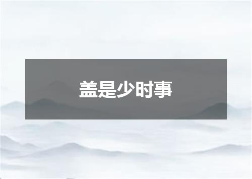 盖是少时事