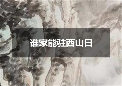 谁家能驻西山日