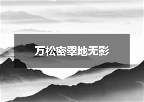 万松密翠地无影