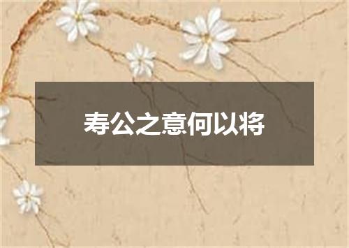 寿公之意何以将