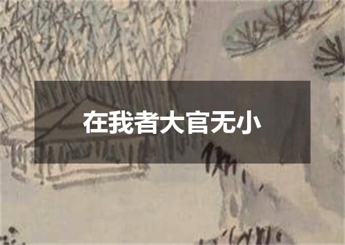 在我者大官无小