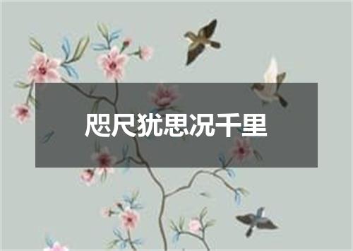 咫尺犹思况千里