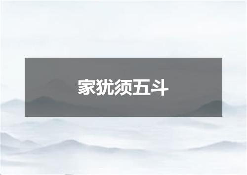 家犹须五斗