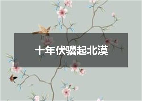 十年伏骥起北漠