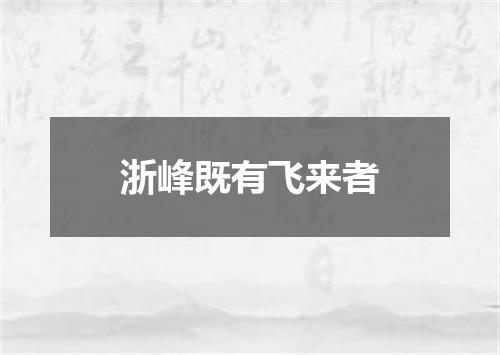 浙峰既有飞来者