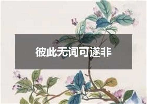 彼此无词可遂非
