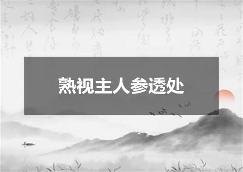 熟视主人参透处