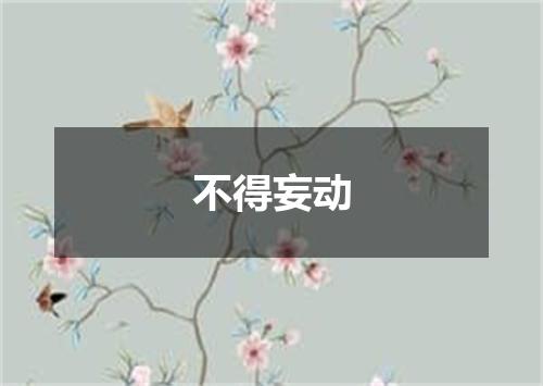 不得妄动